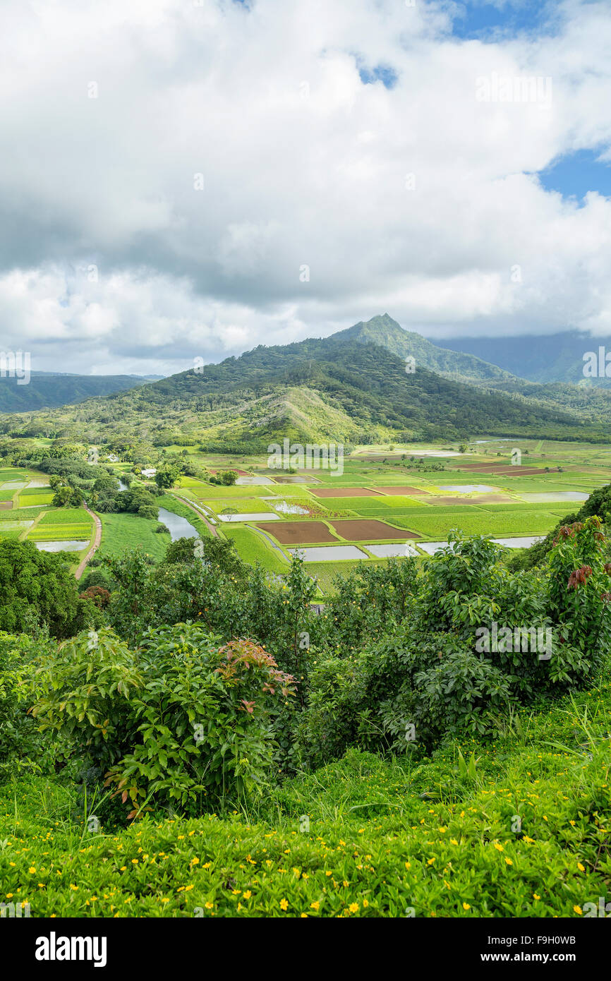 Vista panoramica di Hanalei, Kauai Foto Stock