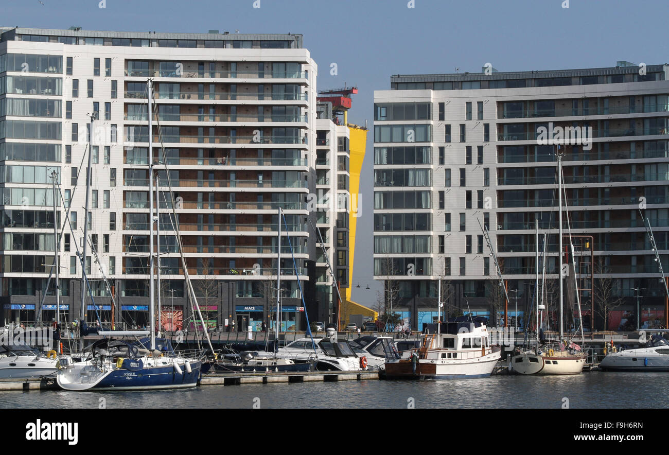 Il Belfast Harbour Marina Foto Stock