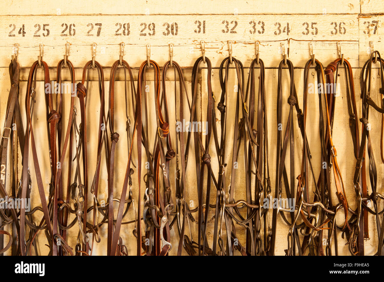 Briglie in bulletta granaio, Alisal Guest Ranch, Solvang, California Foto Stock