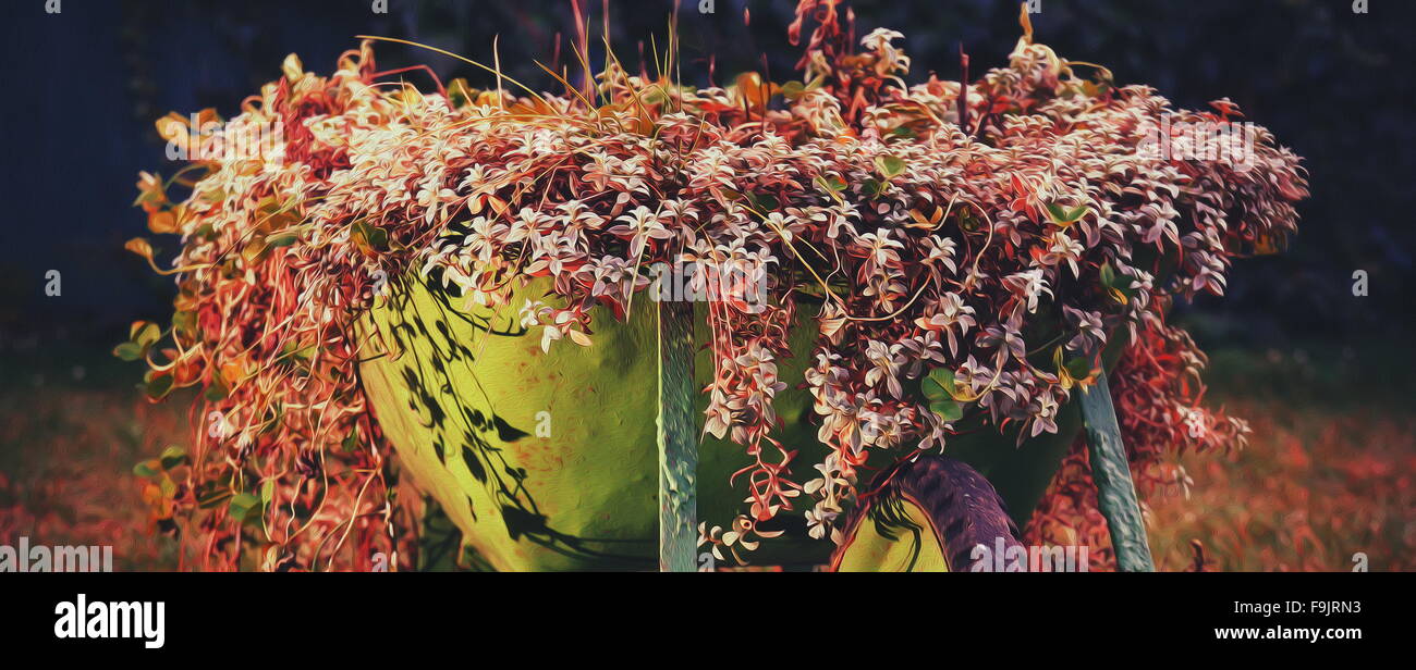 Un rustico verde carriola piena di fiori colorati su un prato, rosso variante. dipingere le sfocature Foto Stock