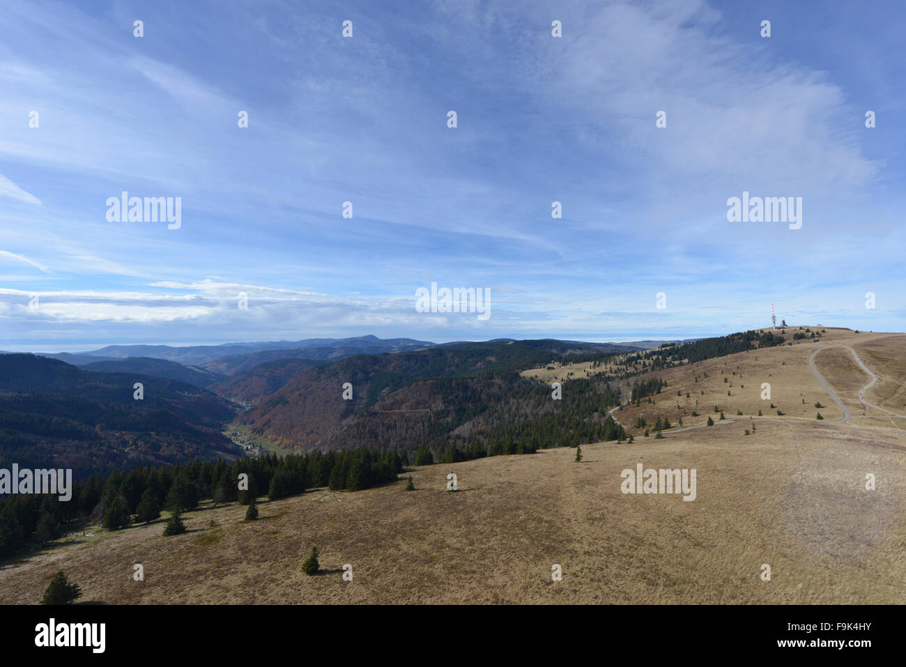 Cercare su Naturpark Südschwarzwald con il monte Feldberg, Schwarzwald, breisgau-hochschwarzwald district, BADEN-WÜRTTEMBERG, germe Foto Stock