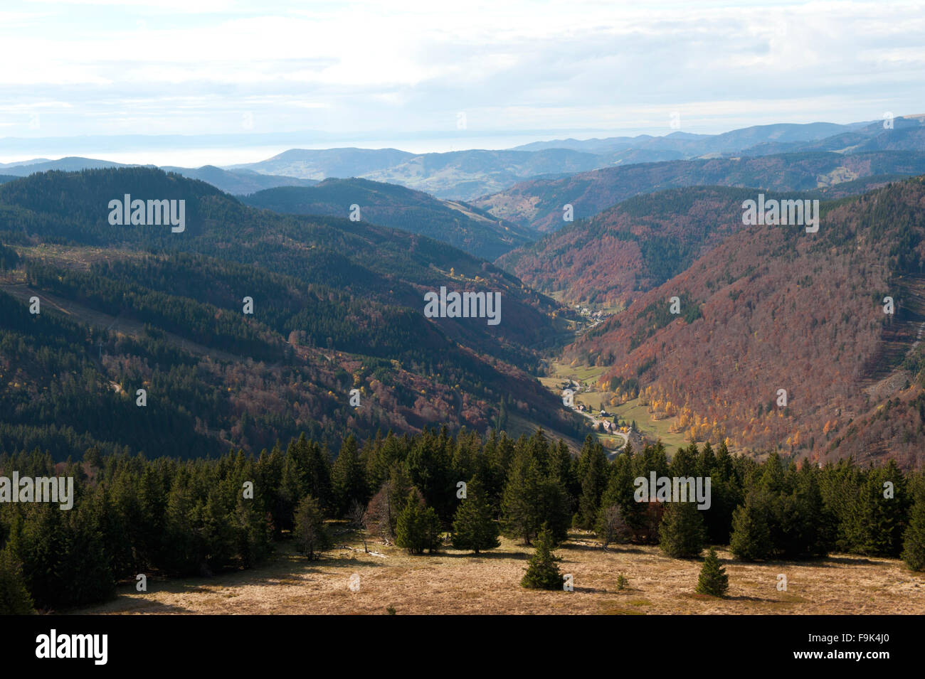 Guardare dal monte Feldberg in valle, Schwarzwald, breisgau-hochschwarzwald district, BADEN-WÜRTTEMBERG, Germania Foto Stock
