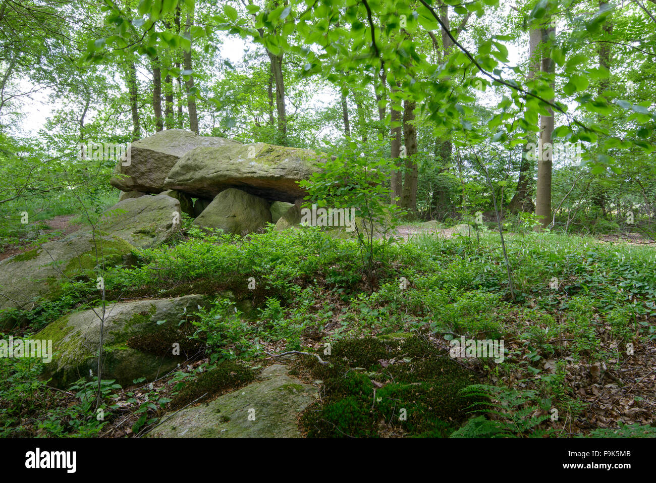 Tomba megalitica bischofsbrück, cloppenburg distretto, Bassa Sassonia, Germania Foto Stock
