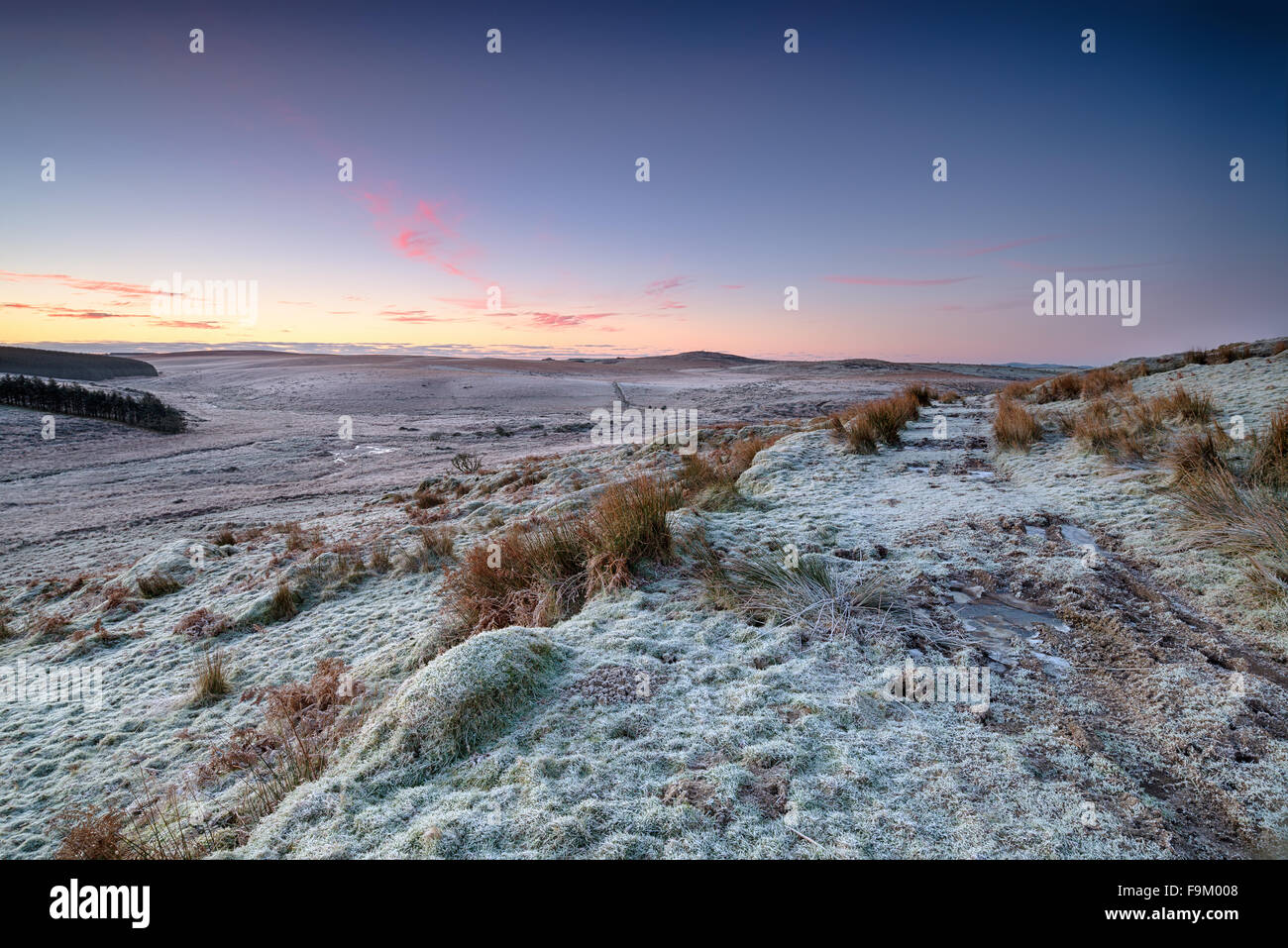 Alba sul gelido inverno brughiera sull Bodmin Moor in Cornovaglia Foto Stock