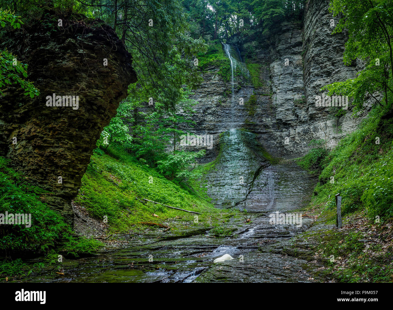 Leccare superiore Brook Falls a Sweedler preservare, New York Foto Stock