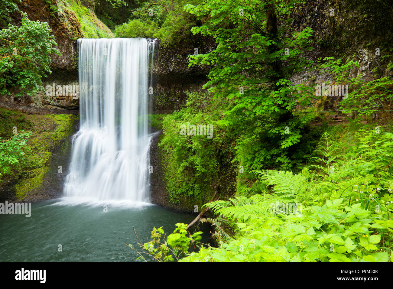 Il Sud inferiore cade nella Silver Falls State Park, Oregon, Stati Uniti d'America. Foto Stock