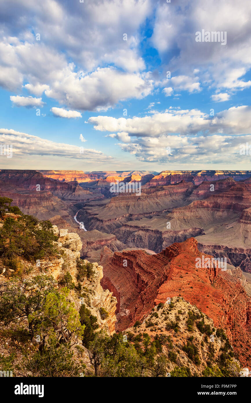 Vista verticale del Grand Canyon, Stati Uniti d'America. Foto Stock