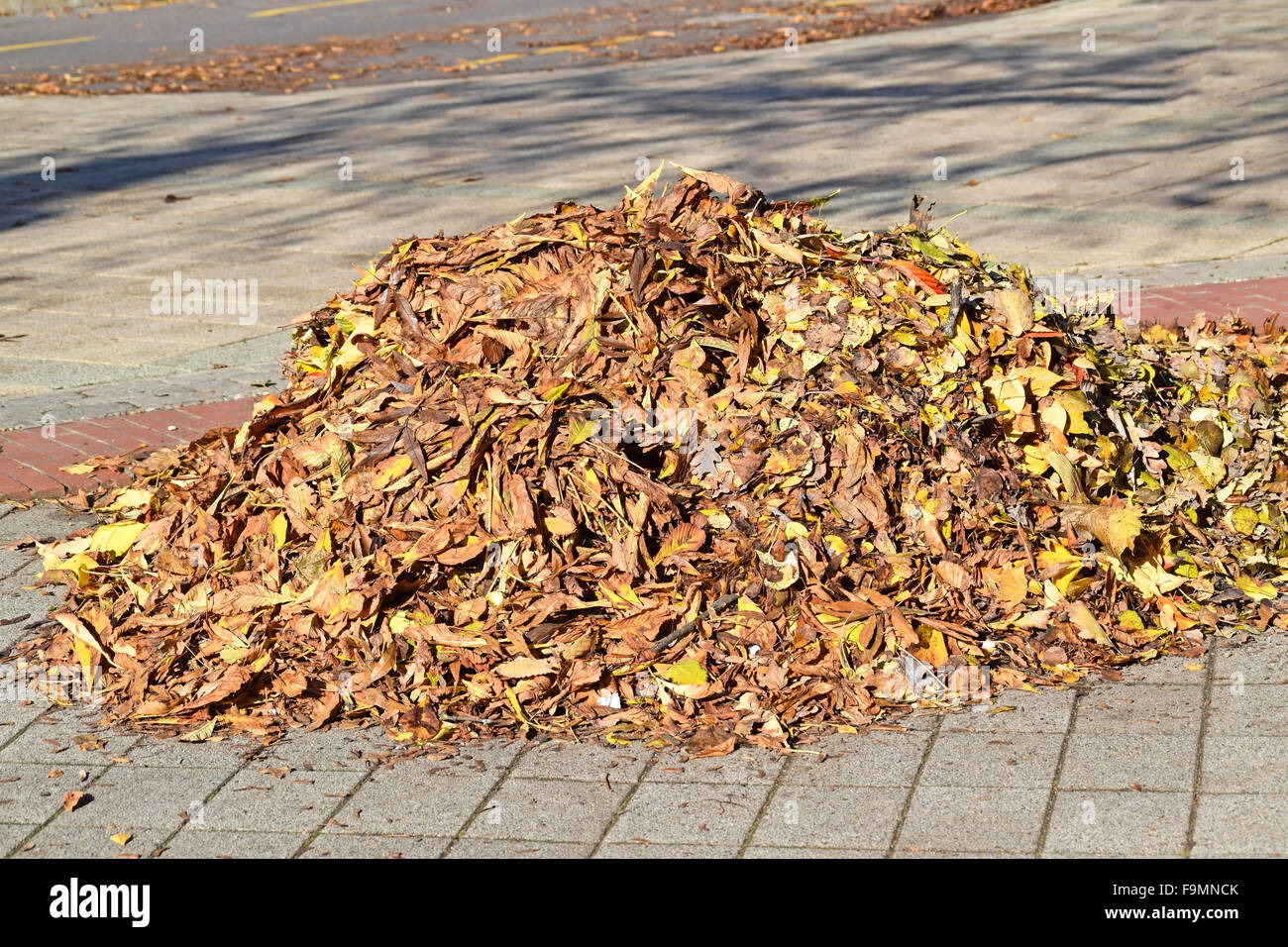 Caduta foglie sulla strada di città in autunno Foto Stock