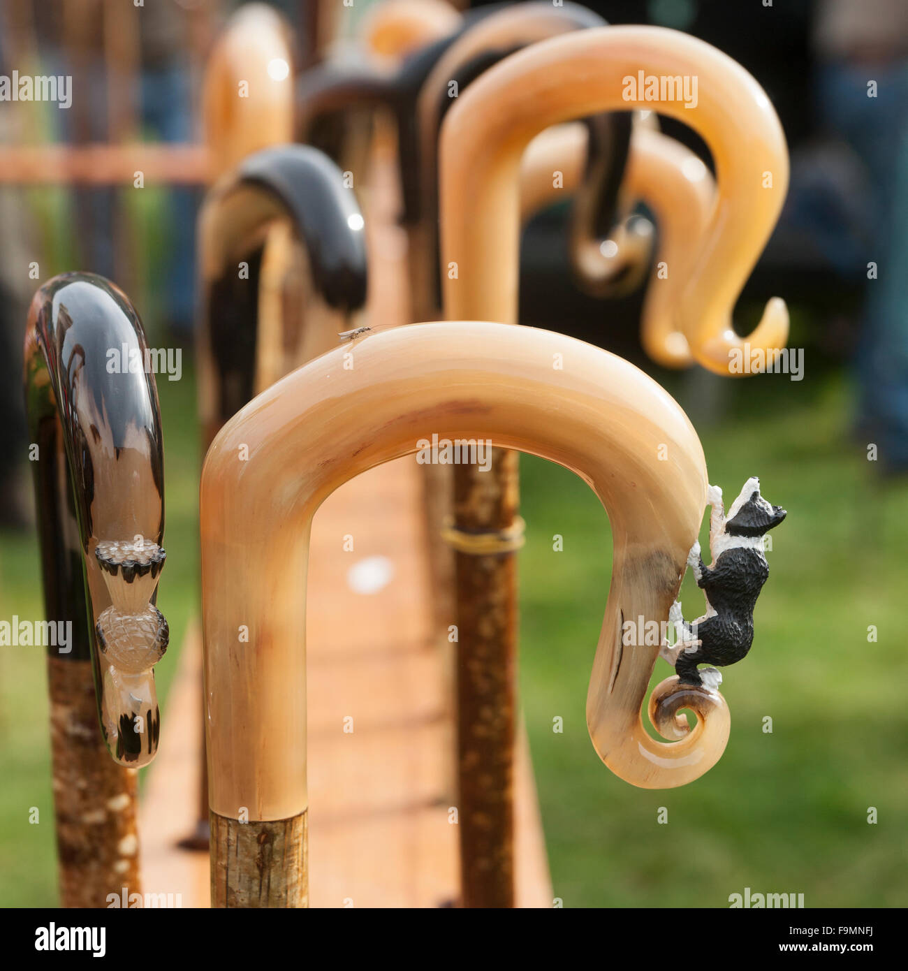 Pastore Crook concorrenza a Wasdale capo pastore incontrare, Cumbria, England, Regno Unito Foto Stock