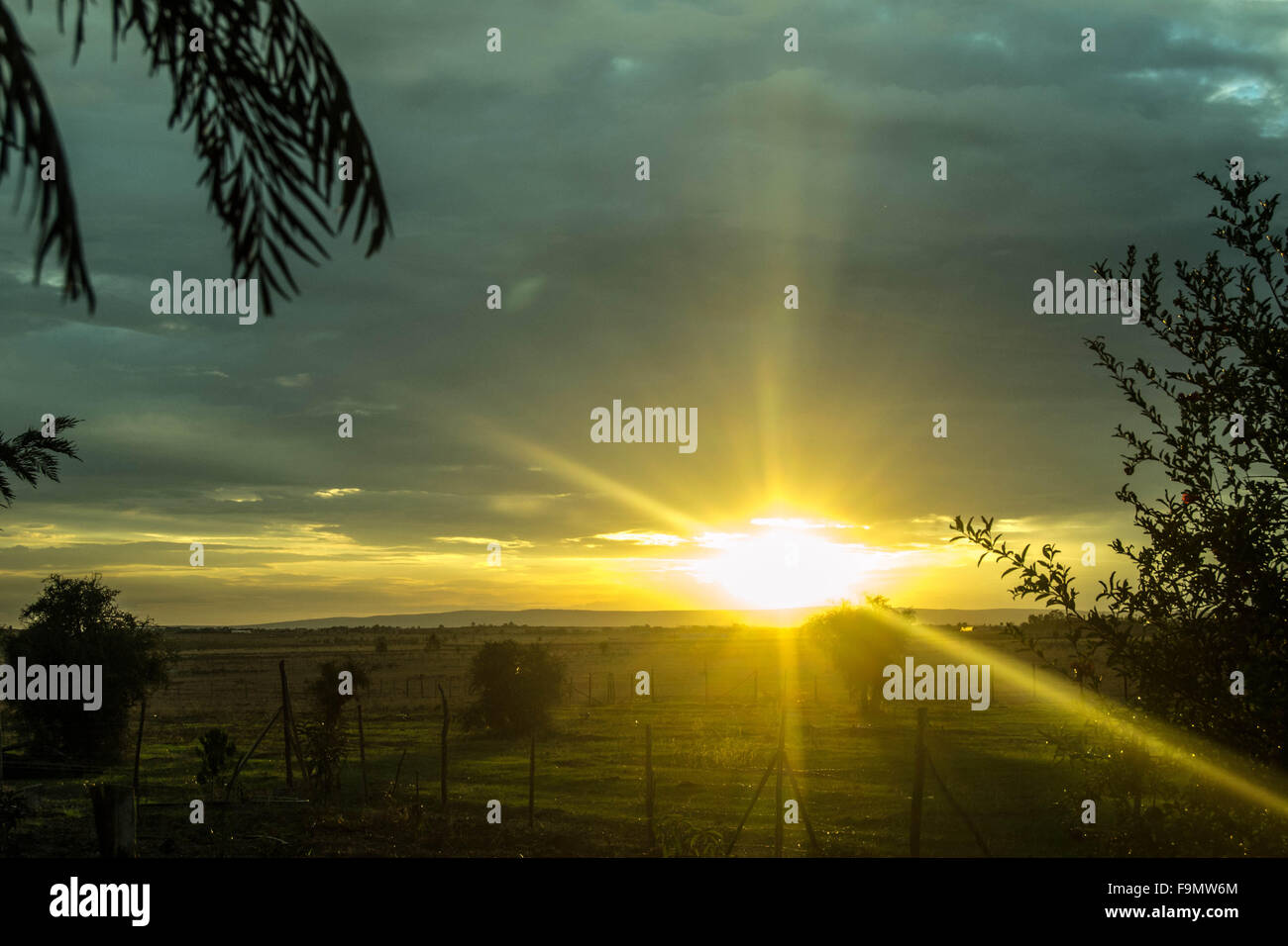 Tramonto in Kitengela, Kenya Foto Stock