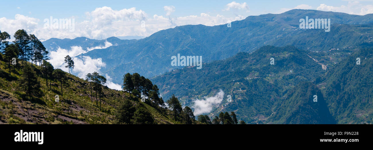 Alcuni alberi a verde pendio di fronte un big blue mountain Tajamulco con cloudscape Foto Stock Alcuni alberi a verde pendio di fronte un big blue mountain Tajamulco con cloudscape Foto Stock