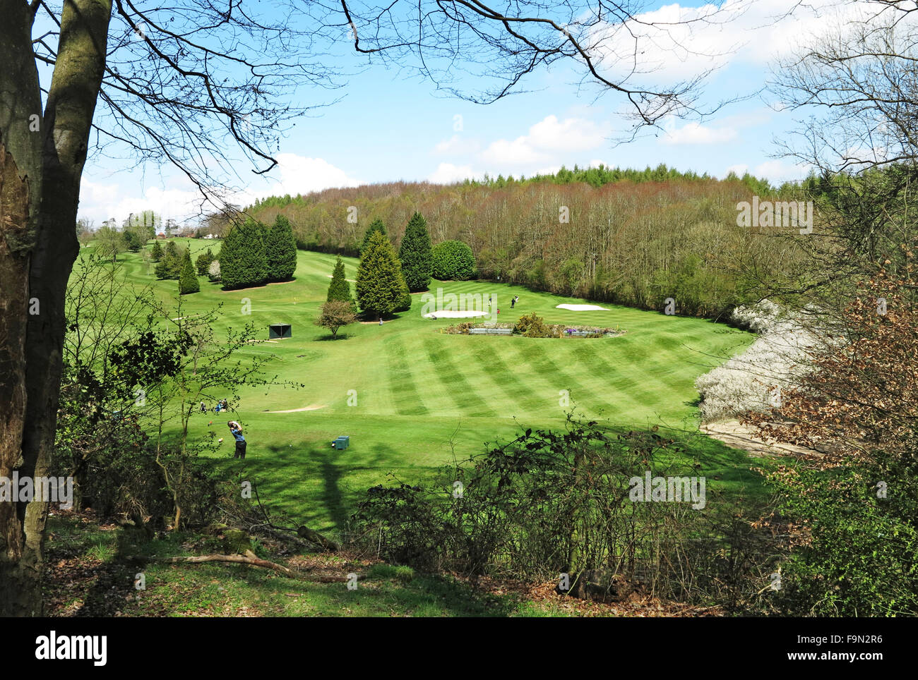 Gli amanti del golf giocare su un campo da Golf in inglese il Chiltern Hills Foto Stock