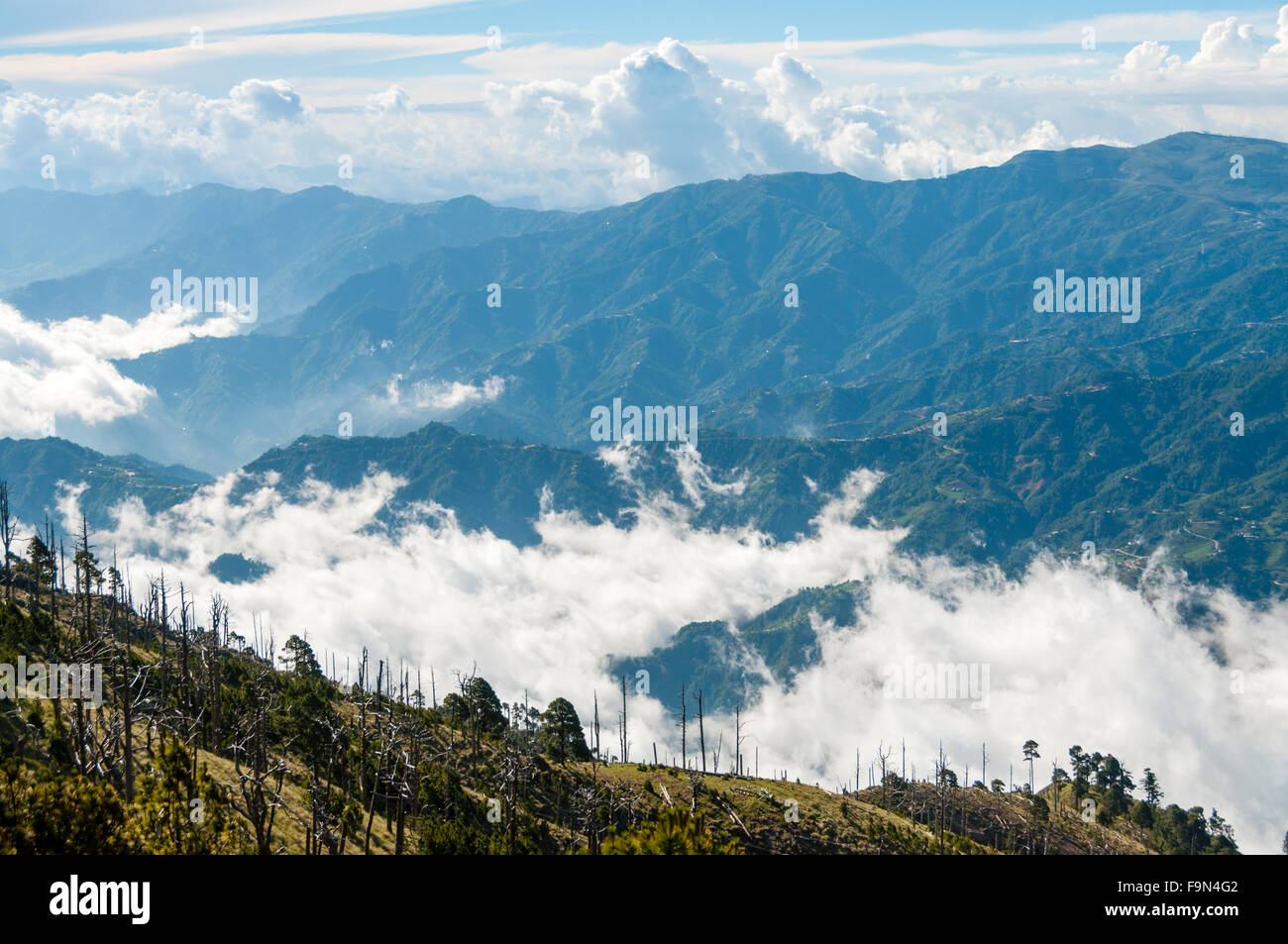 Alcuni alberi sul verde pendio di fronte un big blue mountain Tajamulco con cloudscape Foto Stock