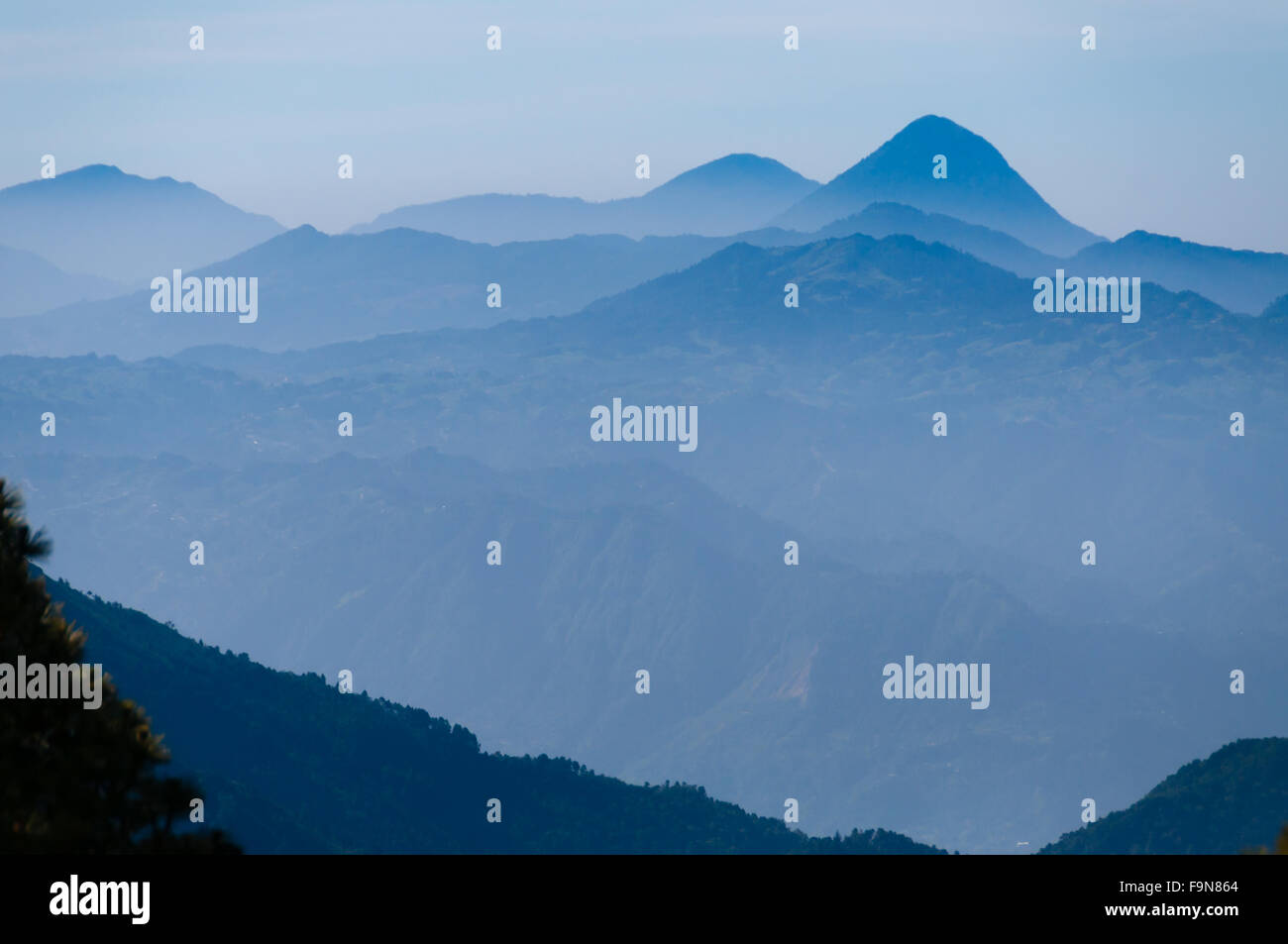 Succursali di fronte lontano il freddo delle Blue Mountains con la foschia e la nebbia Foto Stock Succursali di fronte lontano il freddo delle Blue Mountains con la foschia e la nebbia Foto Stock