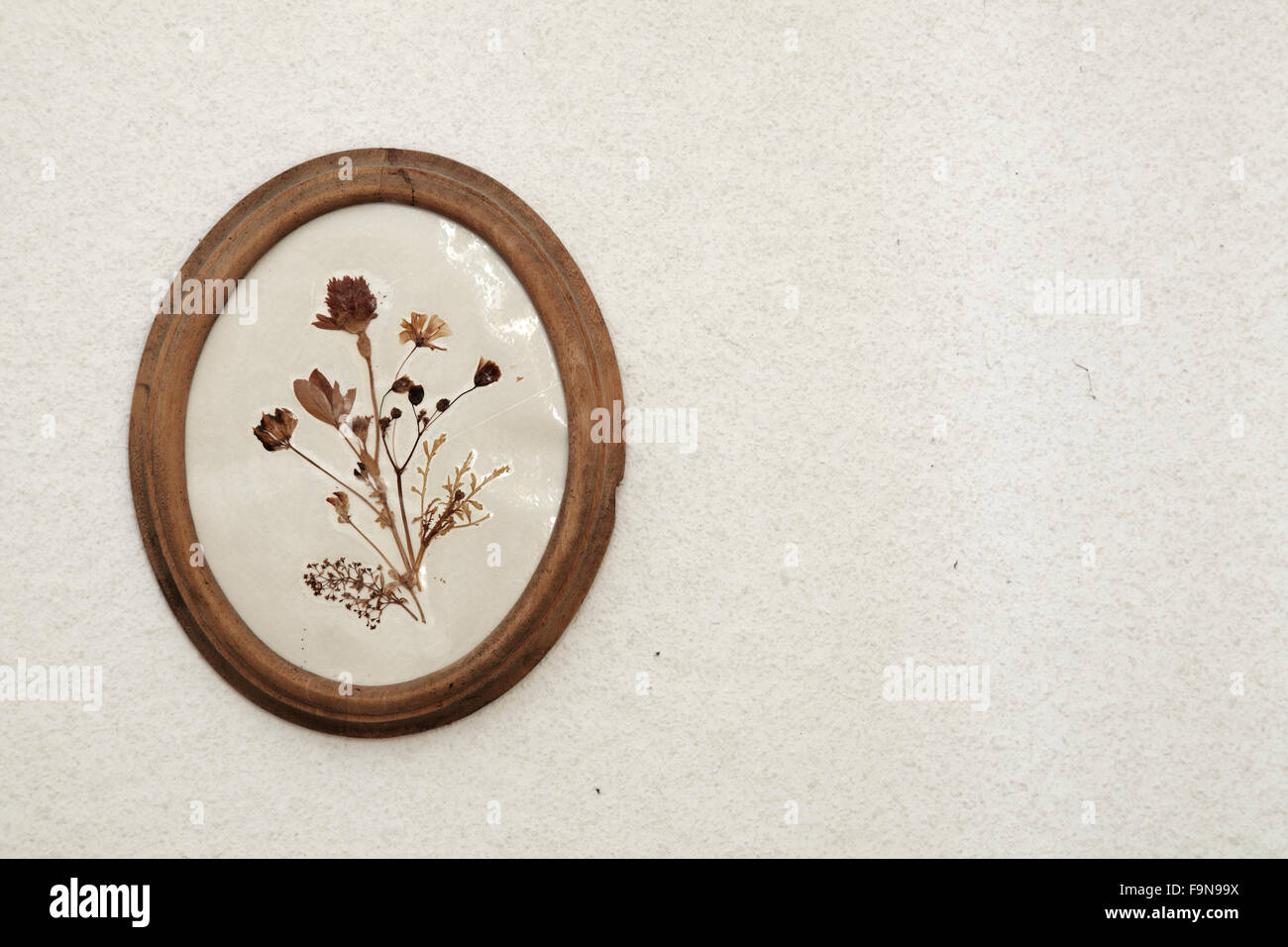 Vintage picture frame con fiori secchi su una parete Foto Stock