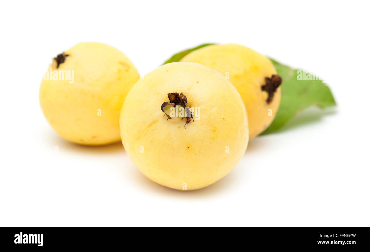 Giallo, normalmente chiamato bianco, frutto guava isolati su sfondo bianco Foto Stock