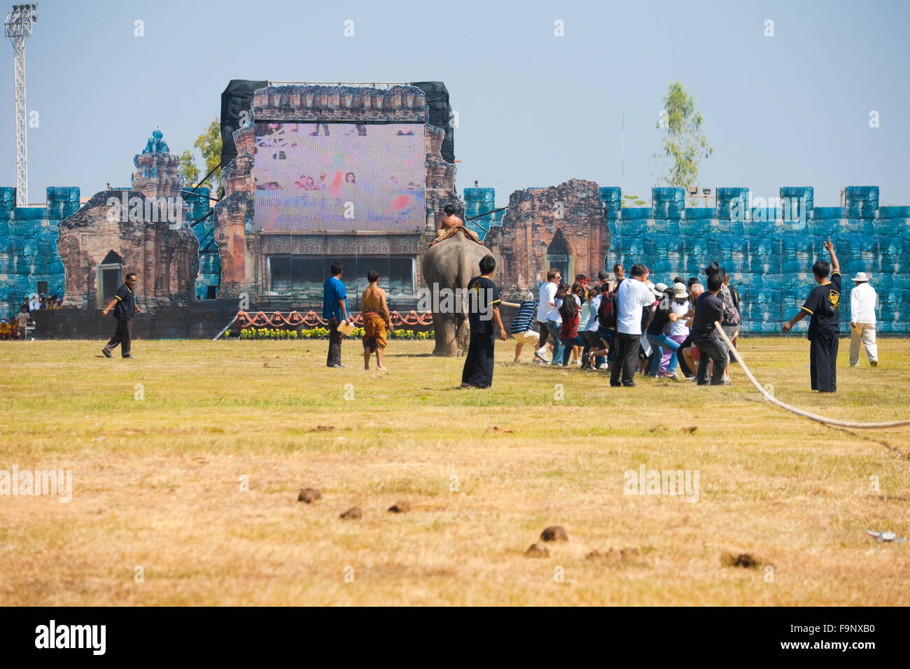 Un elefante tirando contro persone di volontariato da parte del pubblico in un amichevole rimorchiatore di guerra sul campo a Surin Roundup di elefante Foto Stock