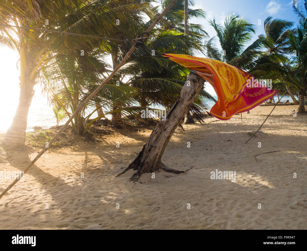 Amaca fluts su una spiaggia tropicale dal mare Foto Stock