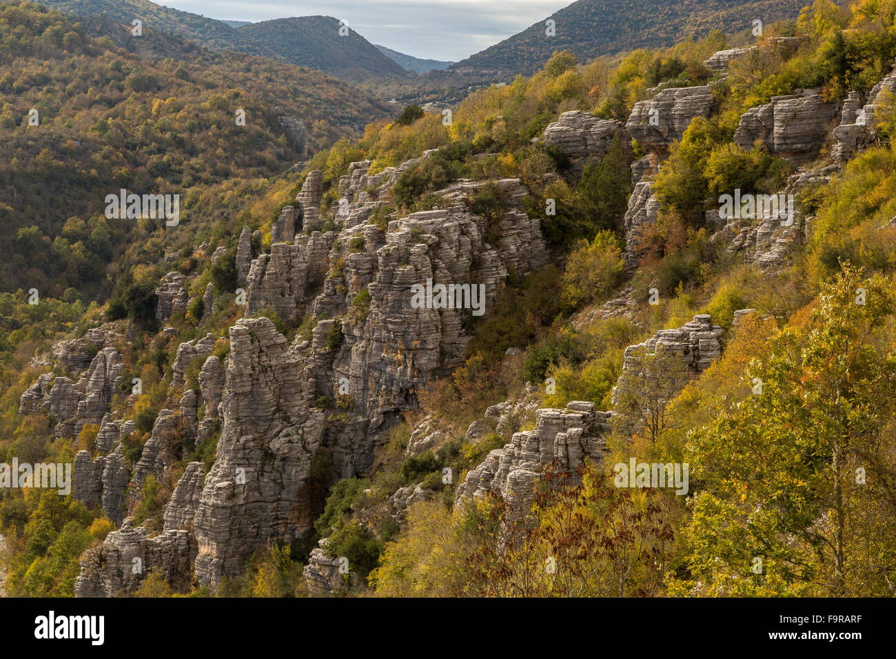 Pinnacoli di roccia nella valle del fiume Voidhomatis, Vikos, sotto Koukouli; vikos-Aoos National Park, Zagori, Epiro Foto Stock