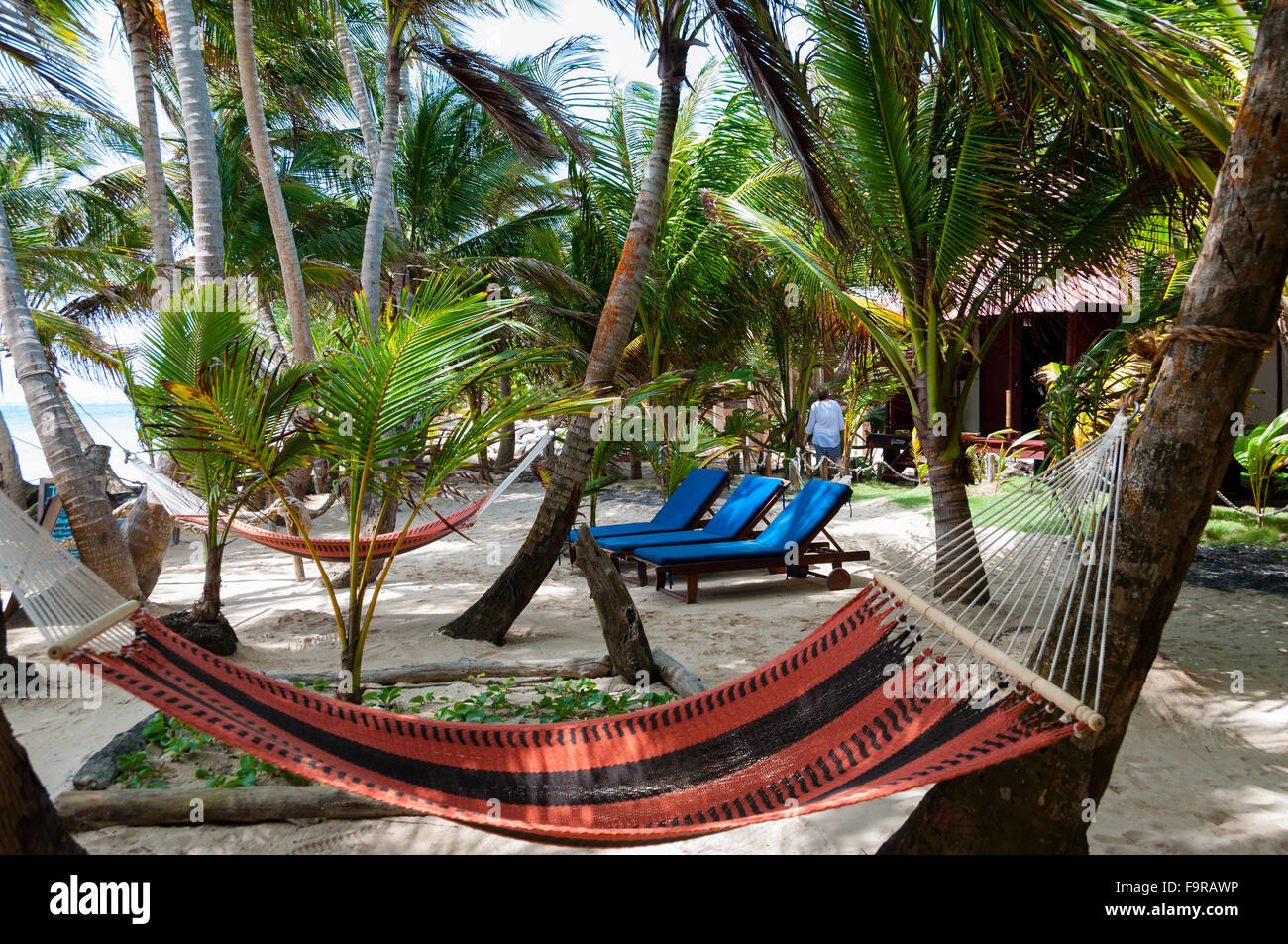 Amache e lettini in un Resort sotto albero di cocco sfumature ai Caraibi spiaggia di sabbia bianca su Corn Island Foto Stock