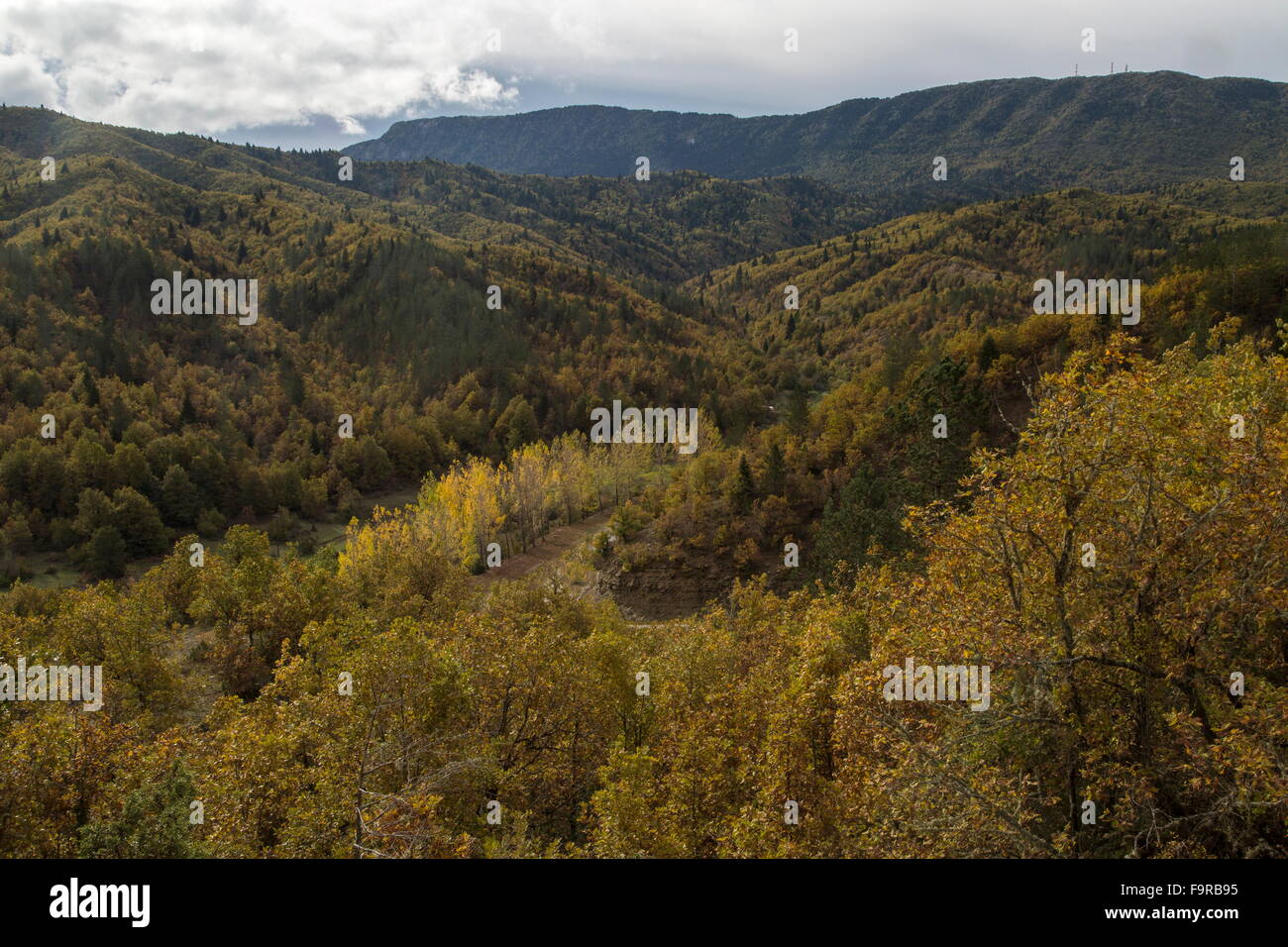 La boscosa nord montagne Pindo sul bordo di Zagoria, da Dhilopho. Zagoria, Epiro. Foto Stock