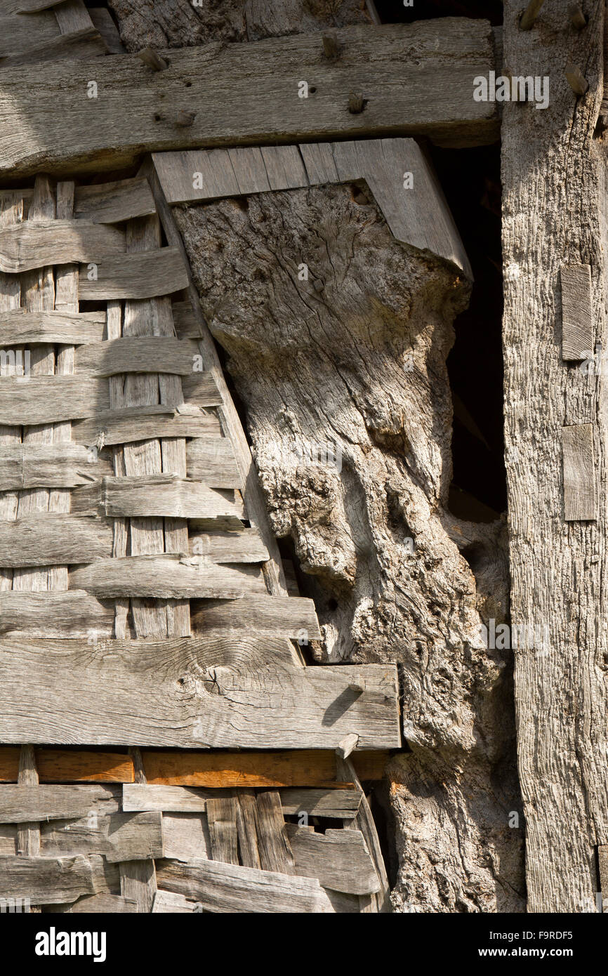 Regno Unito, Inghilterra, Worcestershire, Bromsgrove, Avoncroft Museum, la trebbiatura con il tetto di paglia nel fienile, da Cholstrey, vicino a Leominster, alterate o Foto Stock