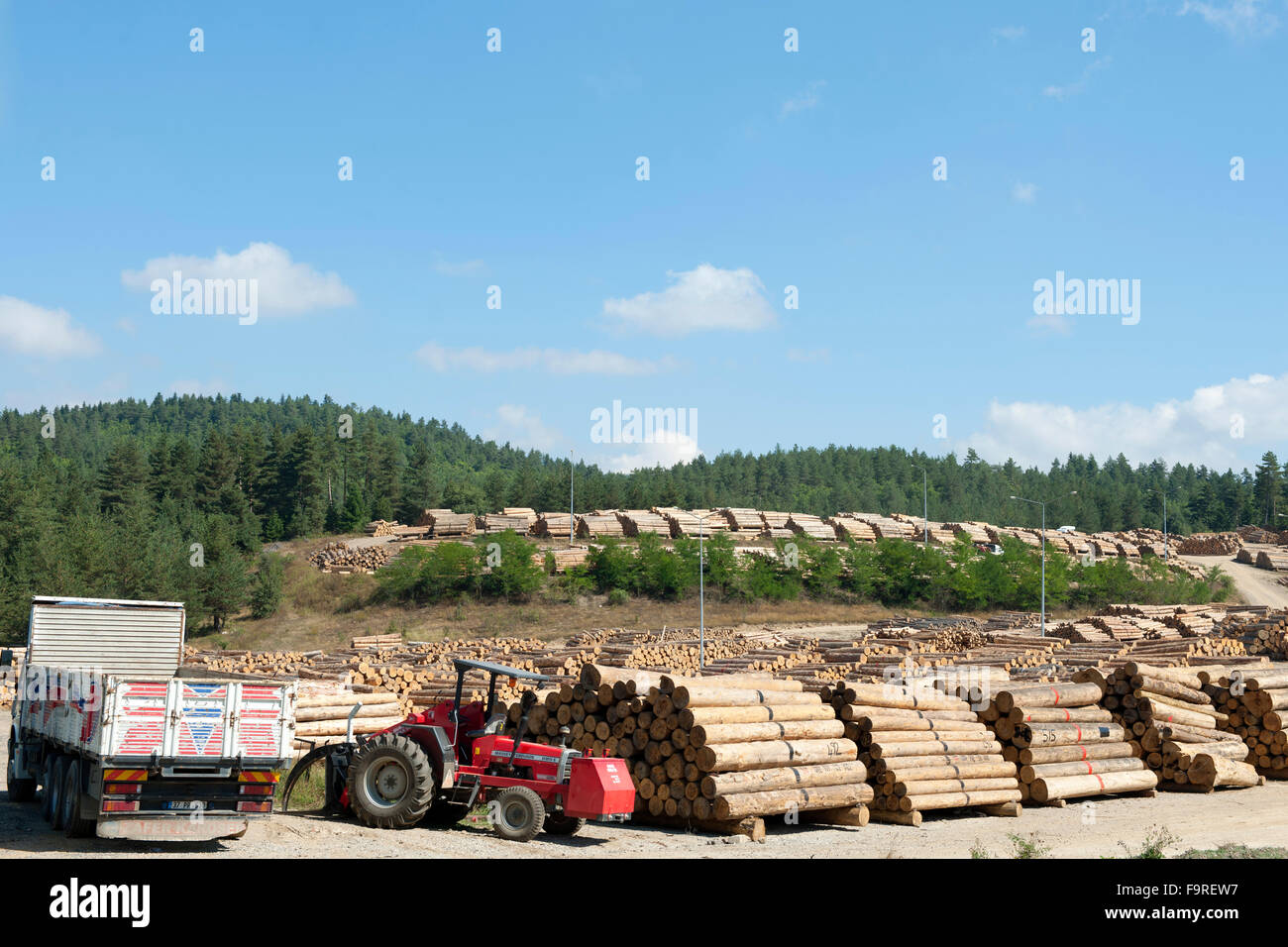 Türkei, westliche Schwarzmeerküste, Holzarbeiterbeim Dorf zwischen Camili Küre und Kastamonu Foto Stock