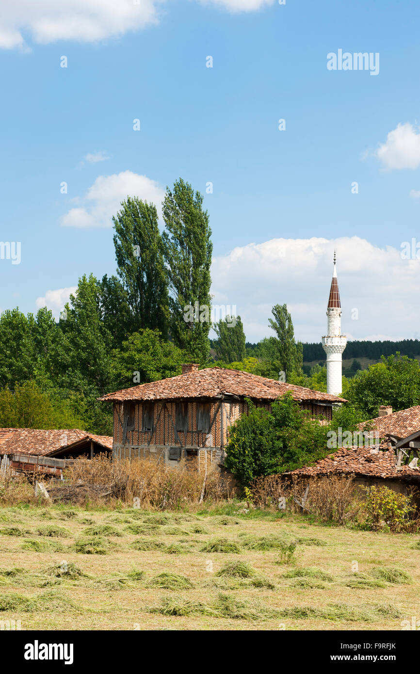 Türkei, westliche Schwarzmeerküste, Dorf Kasaba 18 km nordwestlich von Kastamonu, mit der Holzsäulenmoschee Candaroglu-Mahmut-essere Foto Stock