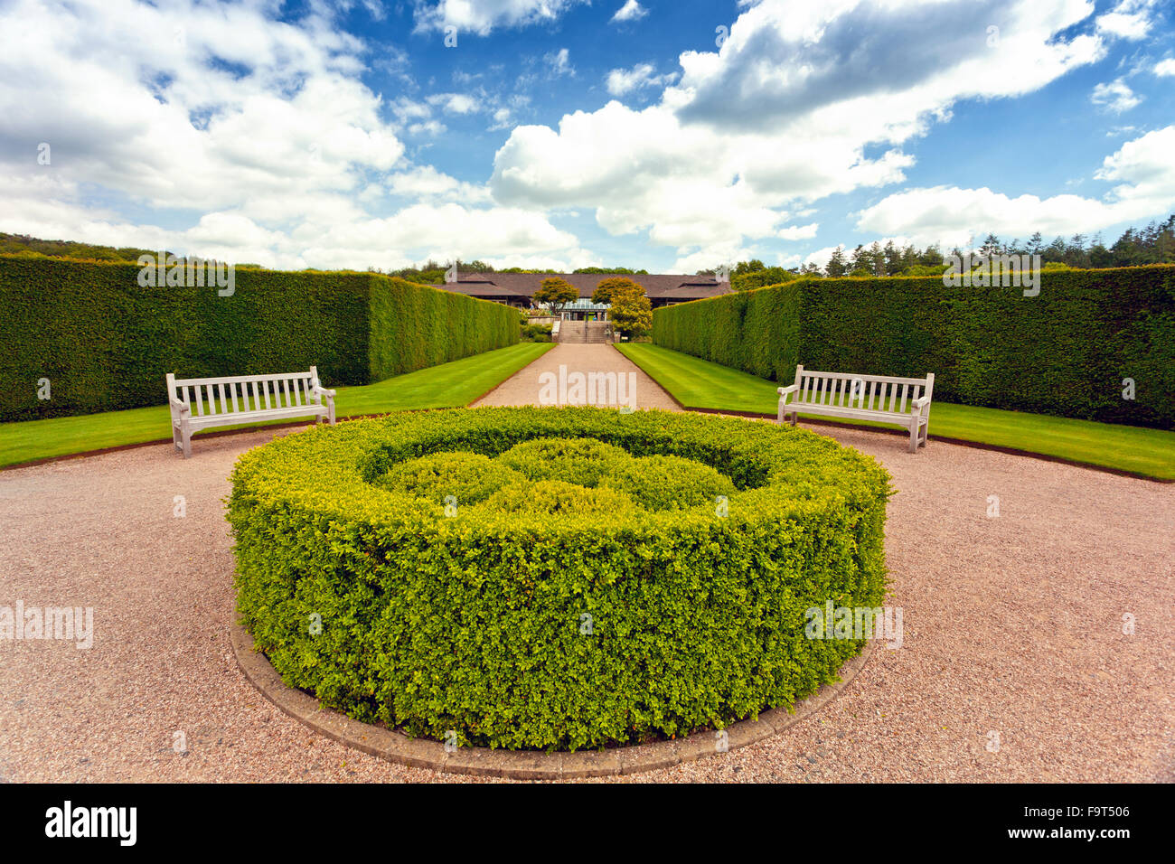 Scatola circolare di copertura e ritagliati siepi di tasso a RHS Rosemoor, North Devon, Inghilterra, Regno Unito Foto Stock