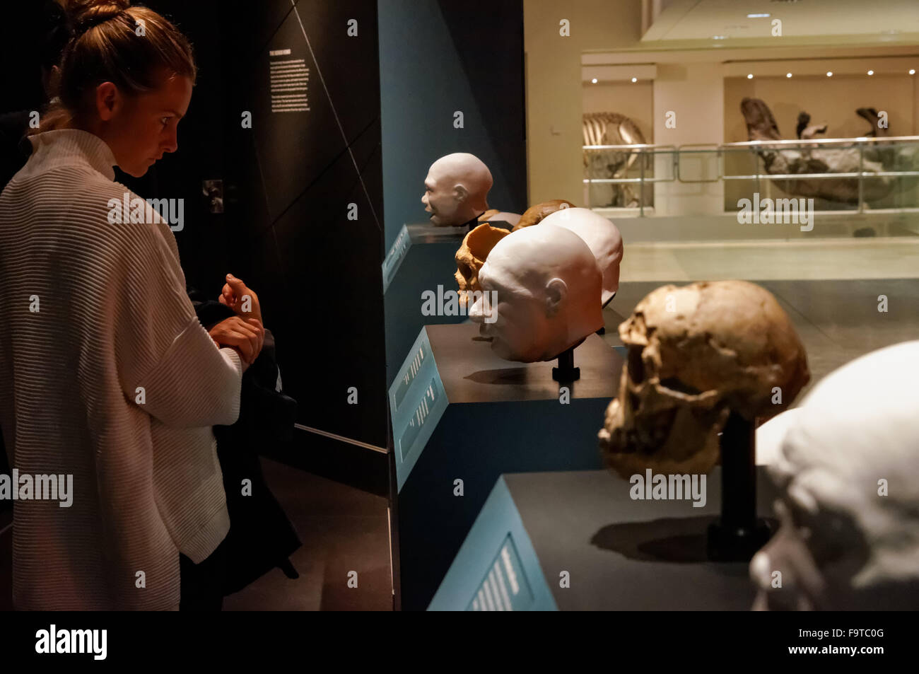 Evoluzione umana gallery presso il Museo di Storia Naturale di Londra Regno Unito Regno Unito Foto Stock