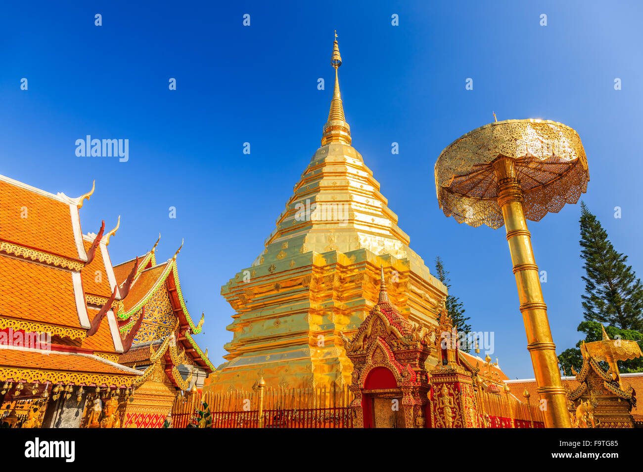 Chiang Mai, Thailandia. Wat Doi Shutep, golden pagoda. Foto Stock