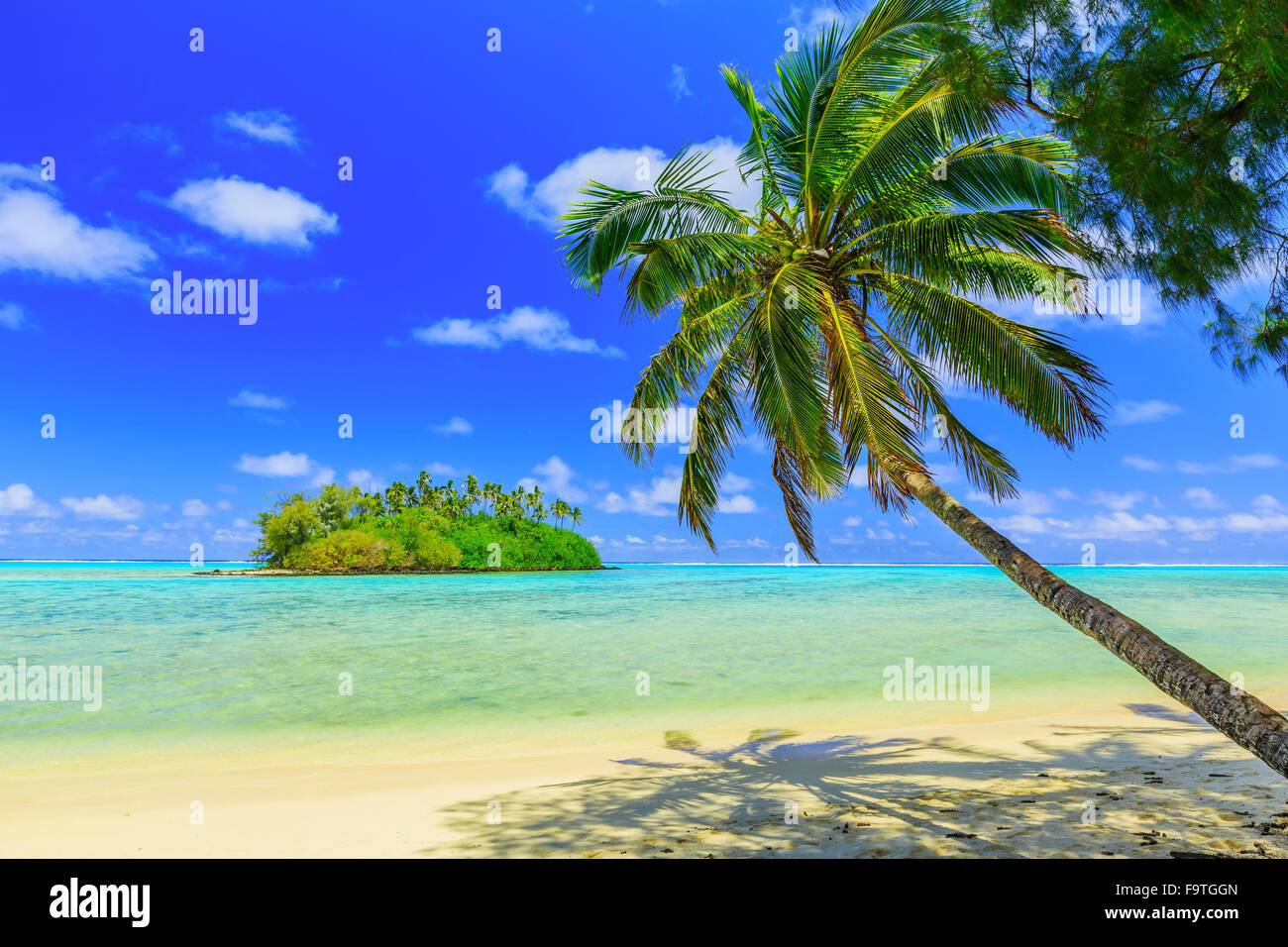 Rarotonga Isole Cook. Isola Motu e Palm tree, Muri laguna. Foto Stock