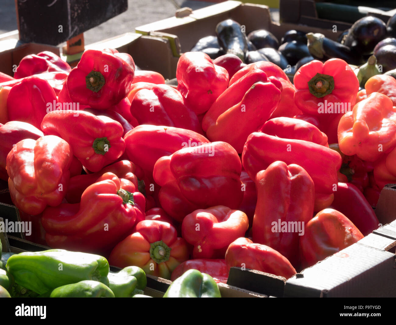 Sole inzuppato visualizzazione di peperoni rossi per la vendita in un mercato in Limoux, Francia Foto Stock