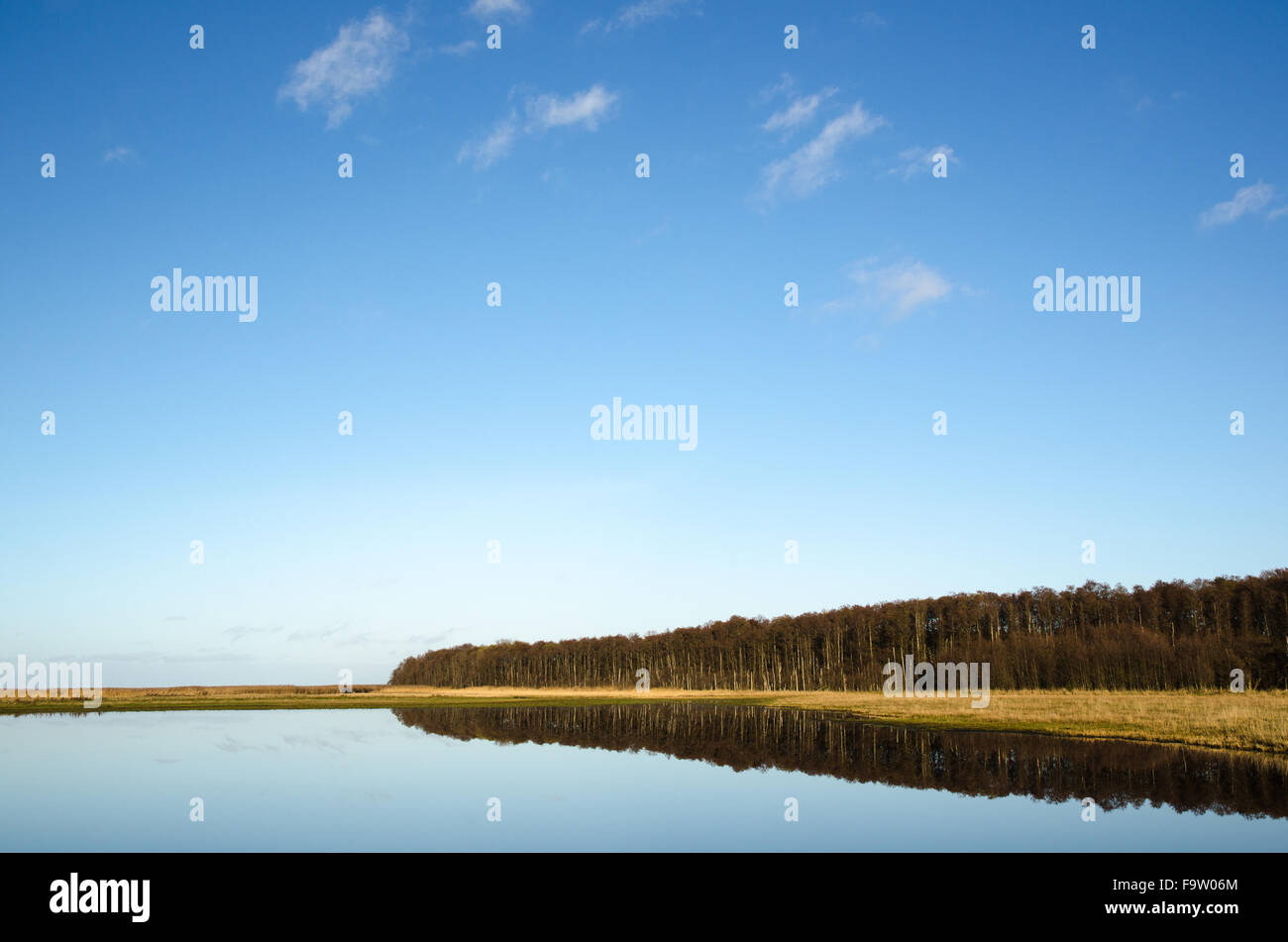 La baia è calma con la foresta riflettendo a specchio come l'acqua Foto Stock