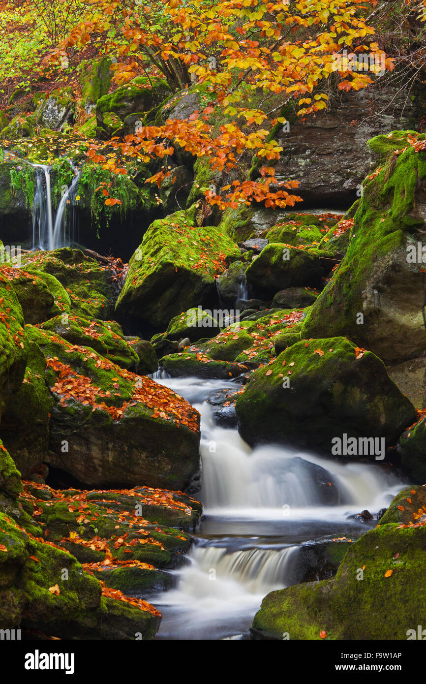 Cascate sul grosse ohe fiume che scorre attraverso la valle Steinklamm, Parco Nazionale della Foresta Bavarese, Baviera, Germania Foto Stock