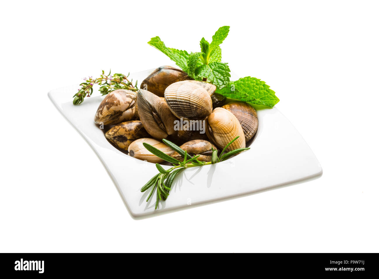 Spagnolo - molluschi Almeja Foto Stock