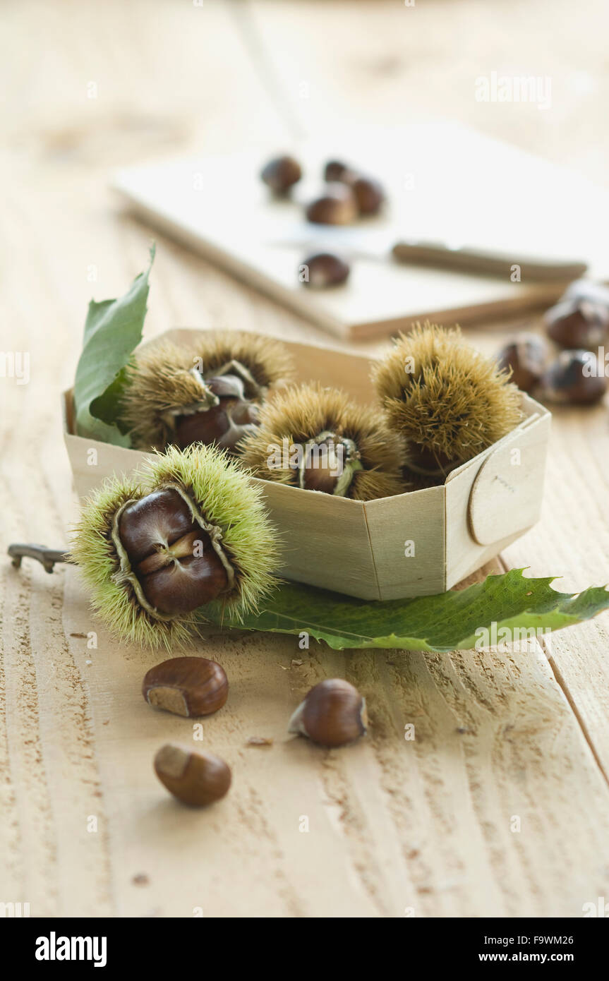 Scatola con castagne su legno Foto Stock