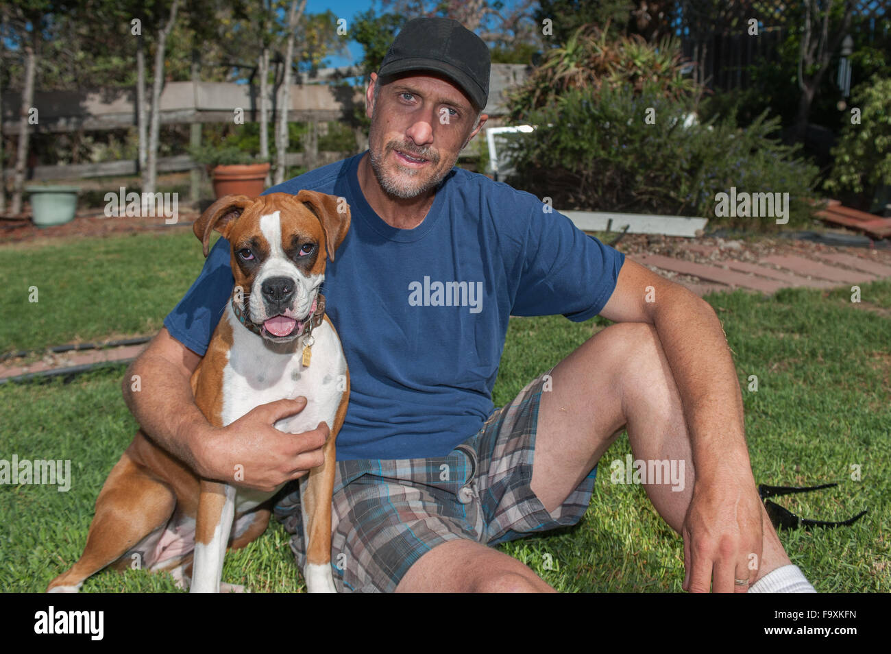 Alto uomo con braccio attorno alla sua femmina cane Boxer Foto Stock