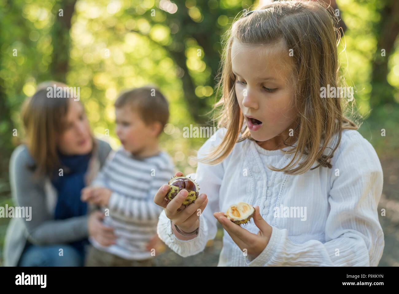 Ragazza stupito guardando castagna in mano Foto Stock