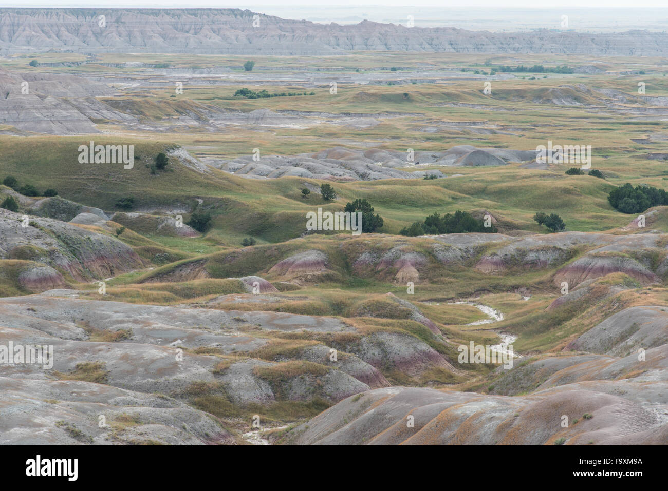 Geologica di rotolamento badlands dispone di dare modo al shortgrass prairie praterie nel Parco nazionale Badlands, Dakota del Sud Foto Stock
