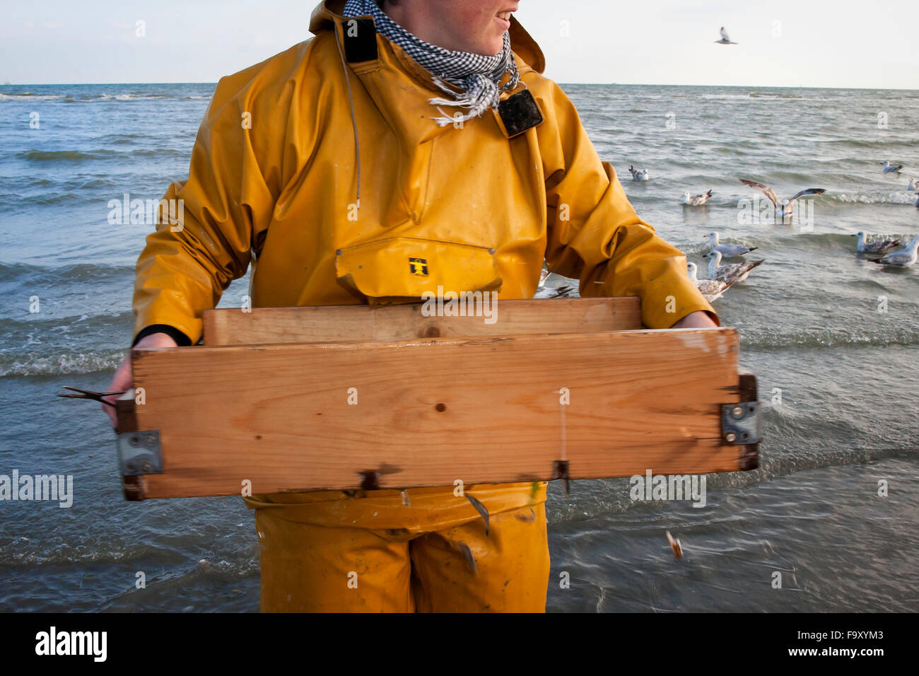 La pesca dei gamberetti - Il mondo della ultima rimanendo a cavallo dei pescatori. Oostduinkerke, Belgio. Foto Stock