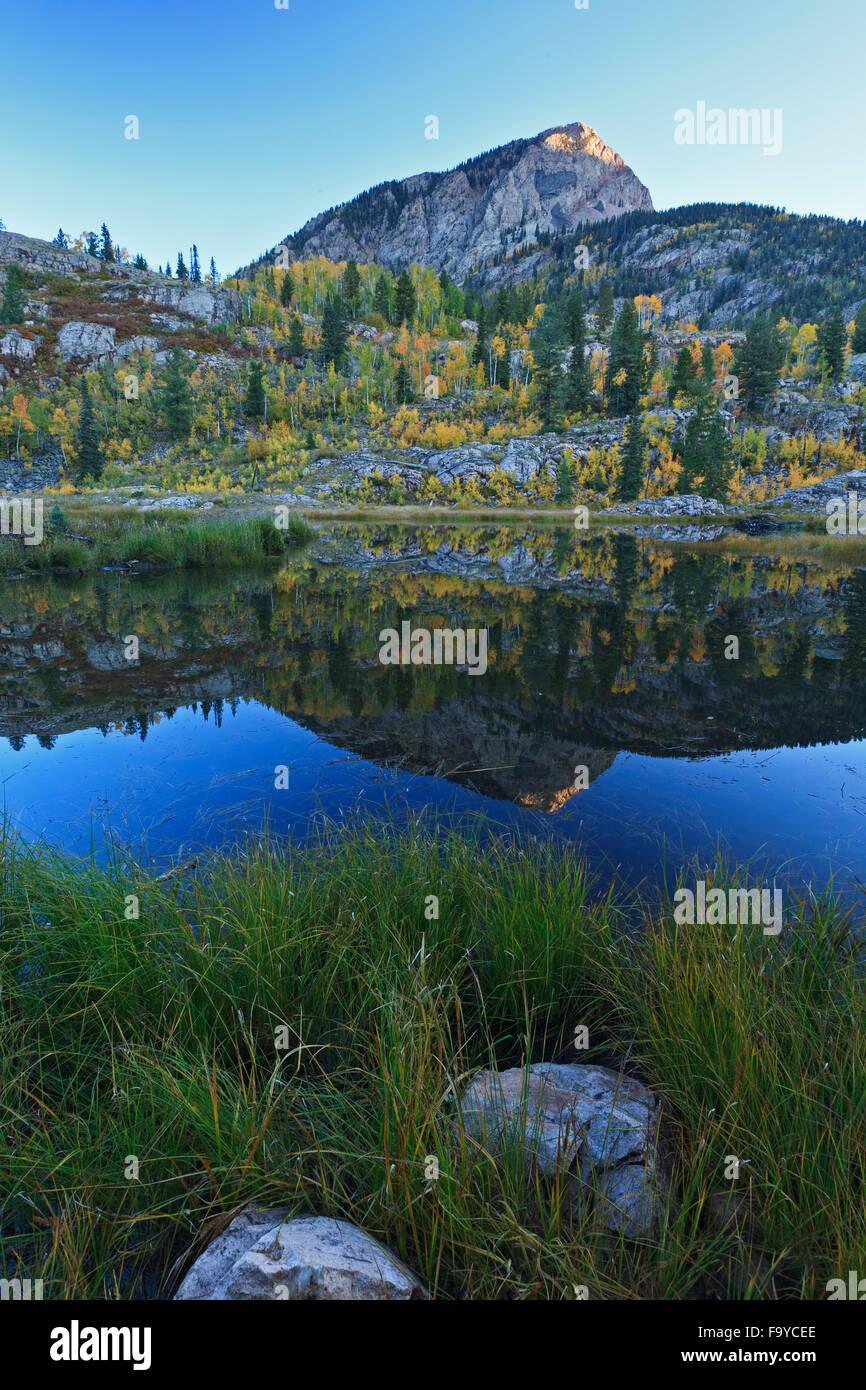La collina di patate riflessa su beaver pond, Spud Lago Trail, San Juan Mountains, Colorado, STATI UNITI D'AMERICA Foto Stock