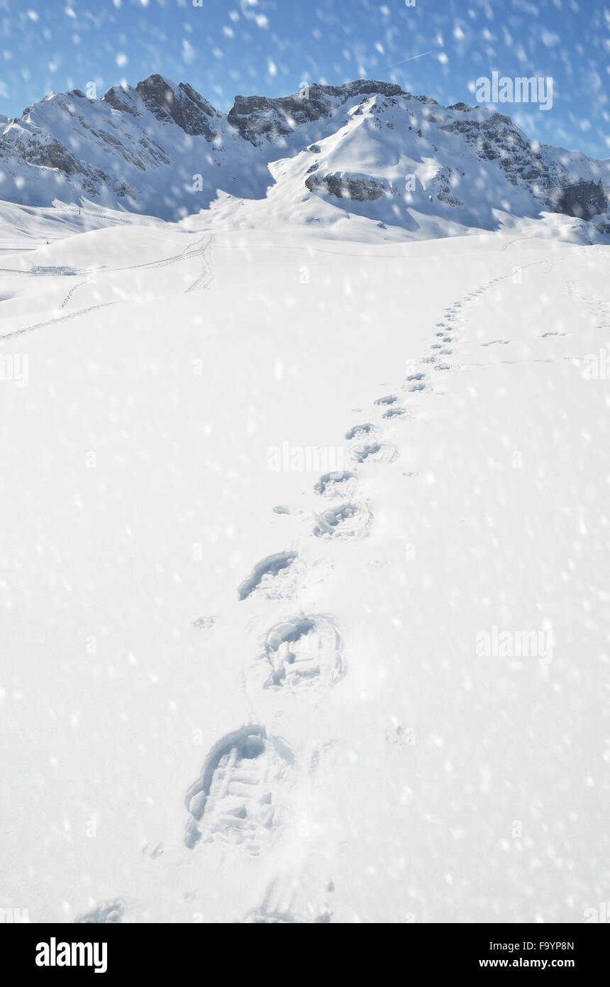 Orme sulla neve Foto Stock