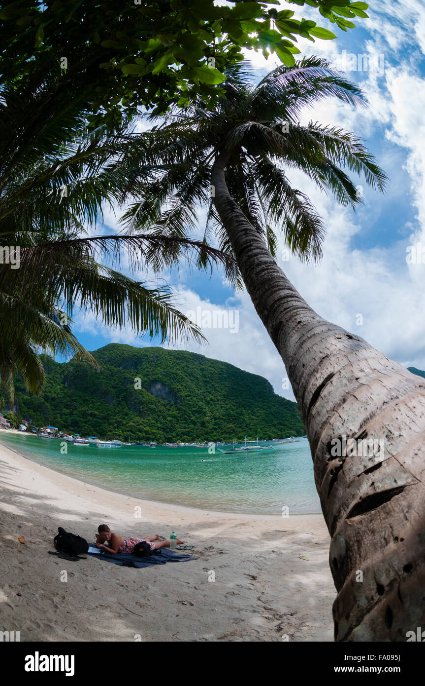 Palm tree di fronte una donna in appoggio sulla spiaggia di sabbia bianca Foto Stock Palm tree di fronte una donna in appoggio sulla spiaggia di sabbia bianca Foto Stock