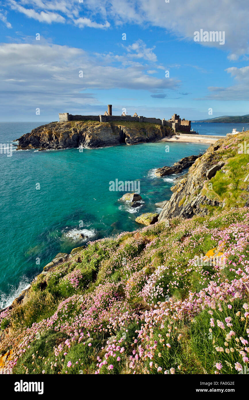 Buccia; il castello e il porto; Isola di Man; Regno Unito Foto Stock