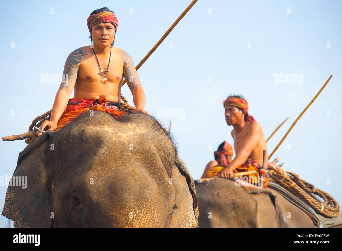 Tradizionalmente condita formatori in sella ad alta sulle spalle dei loro elefanti a annuale di Surin Roundup Elephant Parade Foto Stock