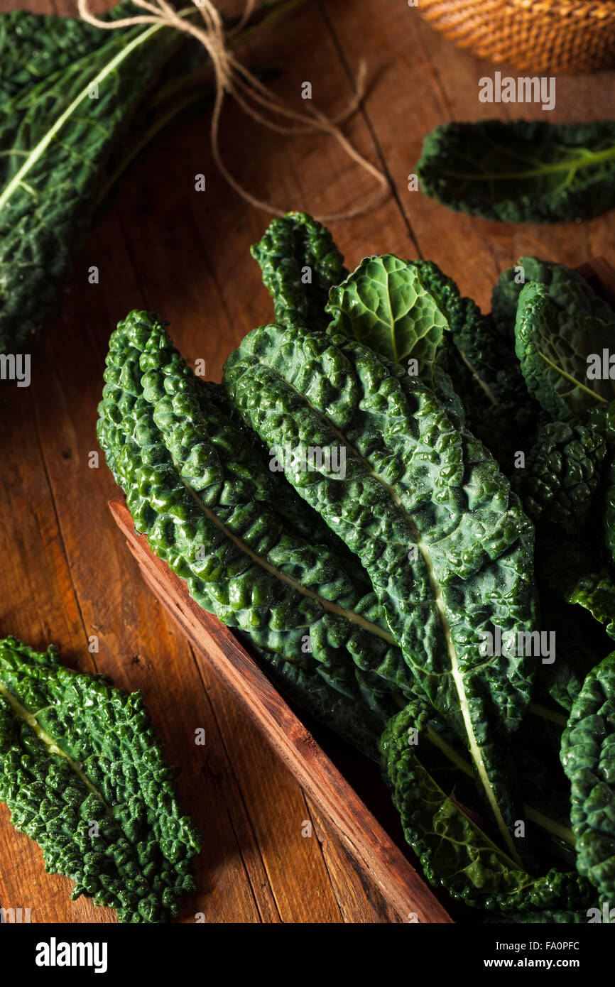 Verde biologico Lacinato Kale pronto a mangiare Foto Stock