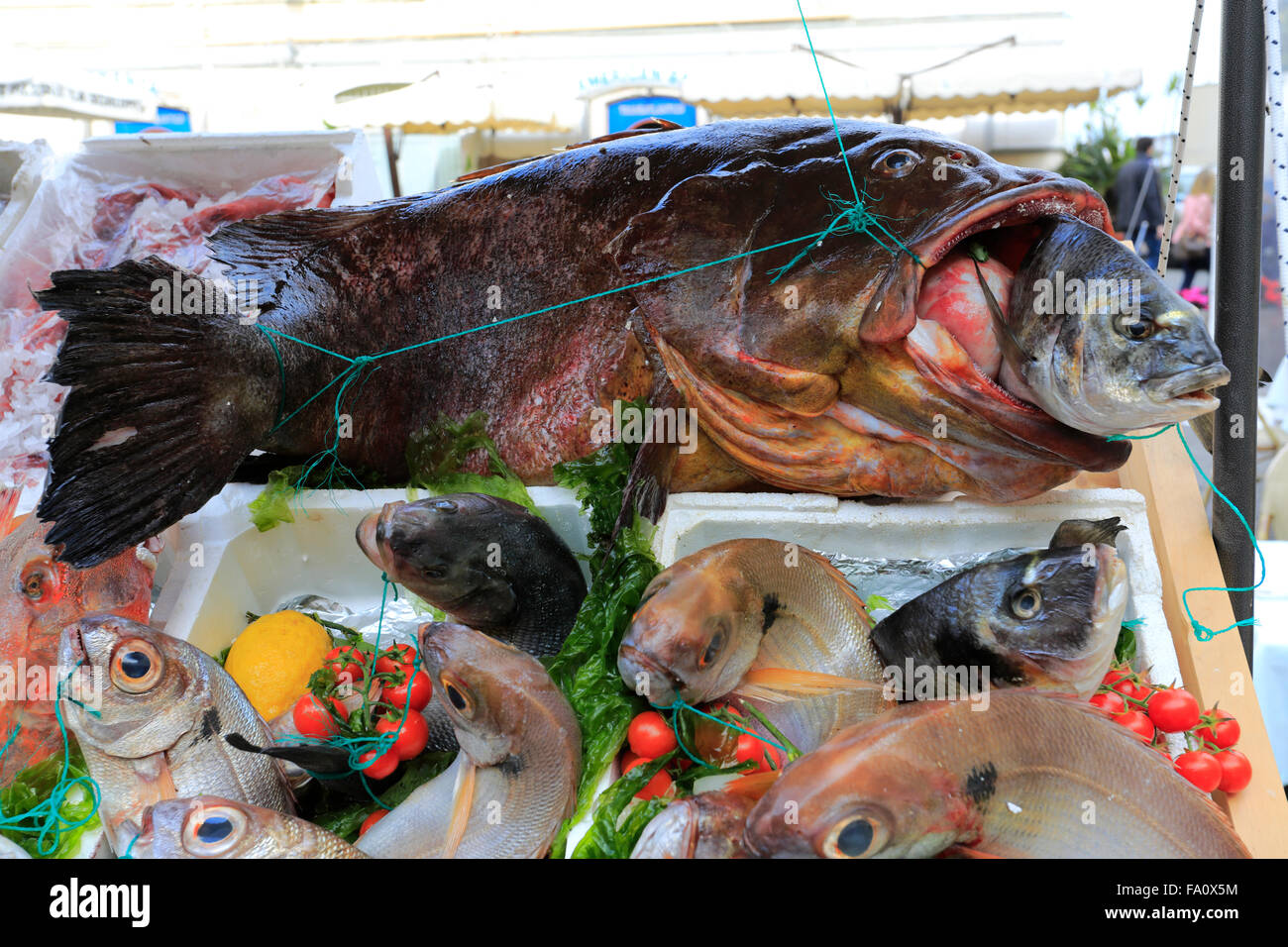Fresh fish campania italy immagini e fotografie stock ad alta risoluzione -  Alamy