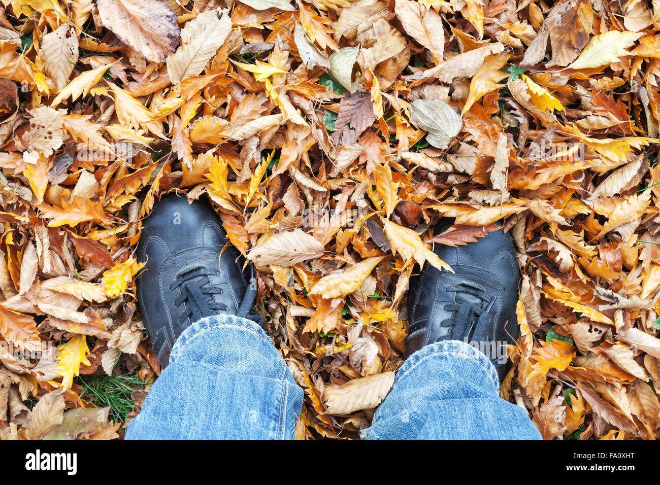 Piedini maschio in blue jeans e scarpe nere in piedi su autunnale di foglie che cadono Foto Stock