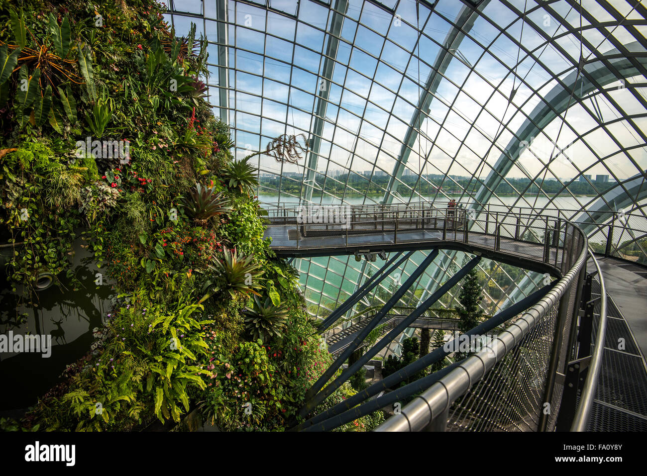 Parete del Cloud Forest a giardini dalla Baia di Singapore. Foto Stock